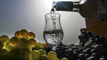 El pisco vuelve a ganar