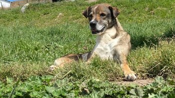 Se han entregado 10 toneladas