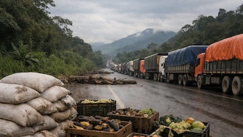 Paro agrario en San Martín: Arroceros endurecen protestas, bloquean vías y crecen las pérdidas para productores y comerciantes
