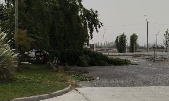 Hay caída de árboles en algunas zonas que provocaron el corte de agua para algunos barrios
