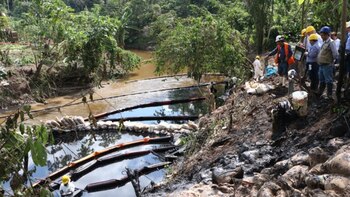 El Estado ha constatado con