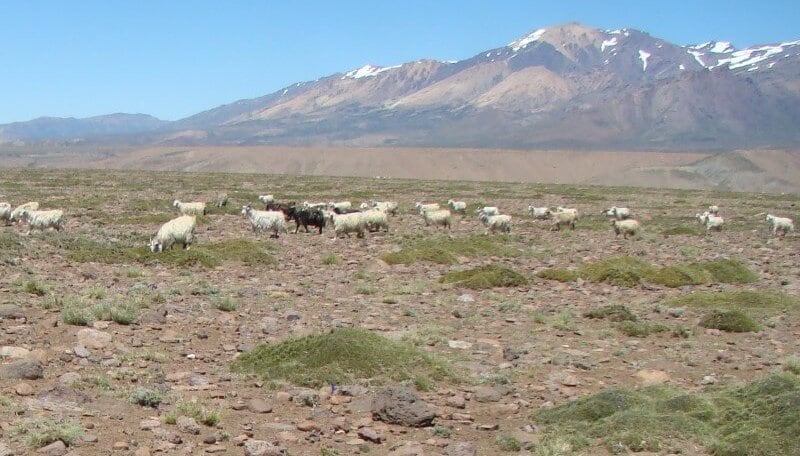 La sequía afectó también en Santa Cruz (Foto: Info Campo)