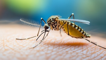 El Salvador registra el primer