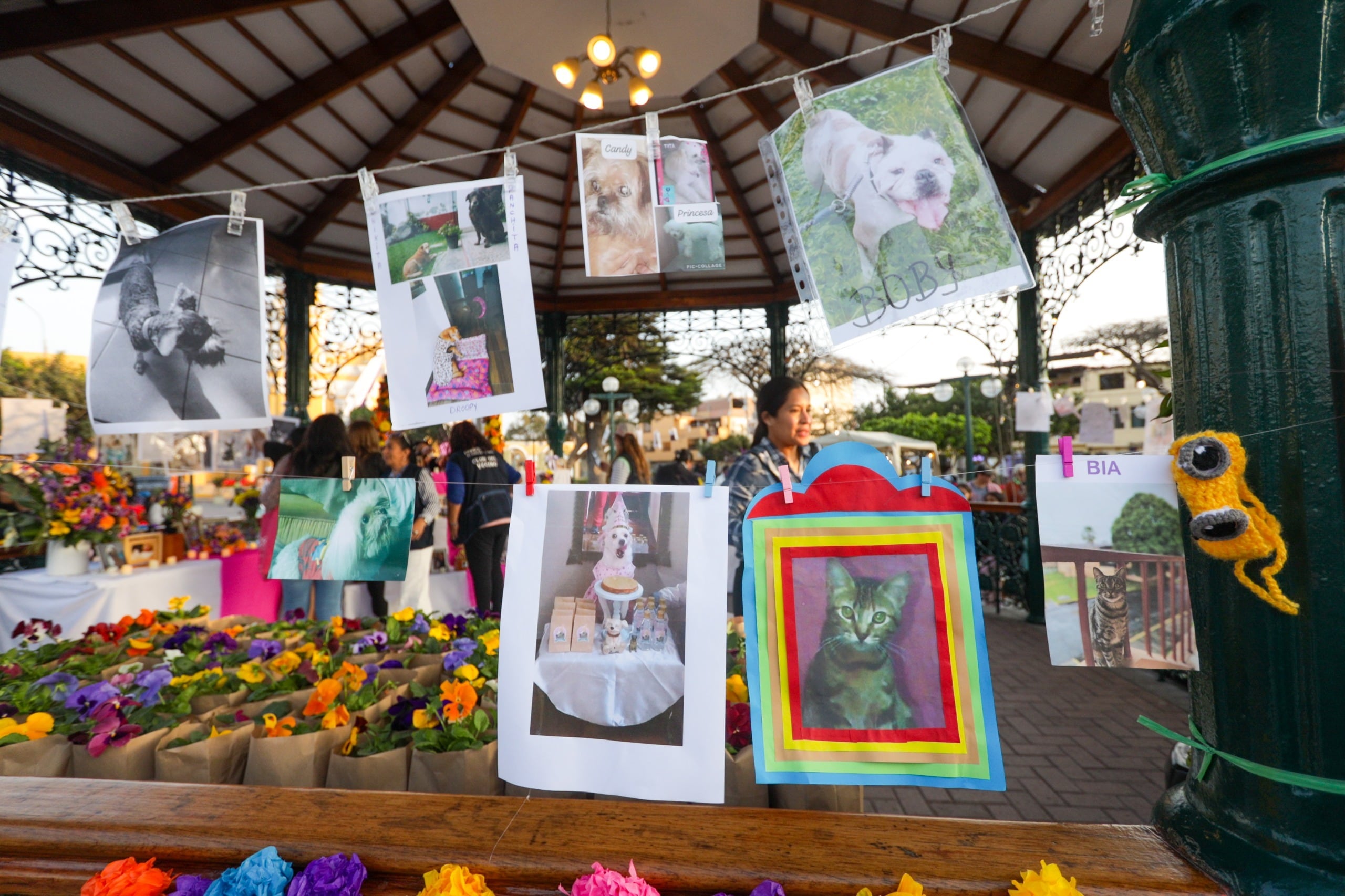 Surco rinde homenaje a las mascotas fallecidas este viernes en su Plaza de Armas