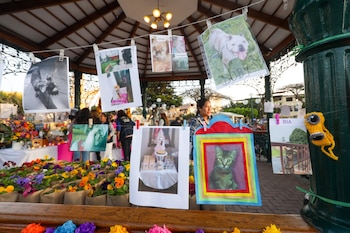 Surco rinde homenaje a las mascotas fallecidas este viernes en su Plaza de Armas