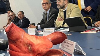 Álvarez Icaza presidía una mesa