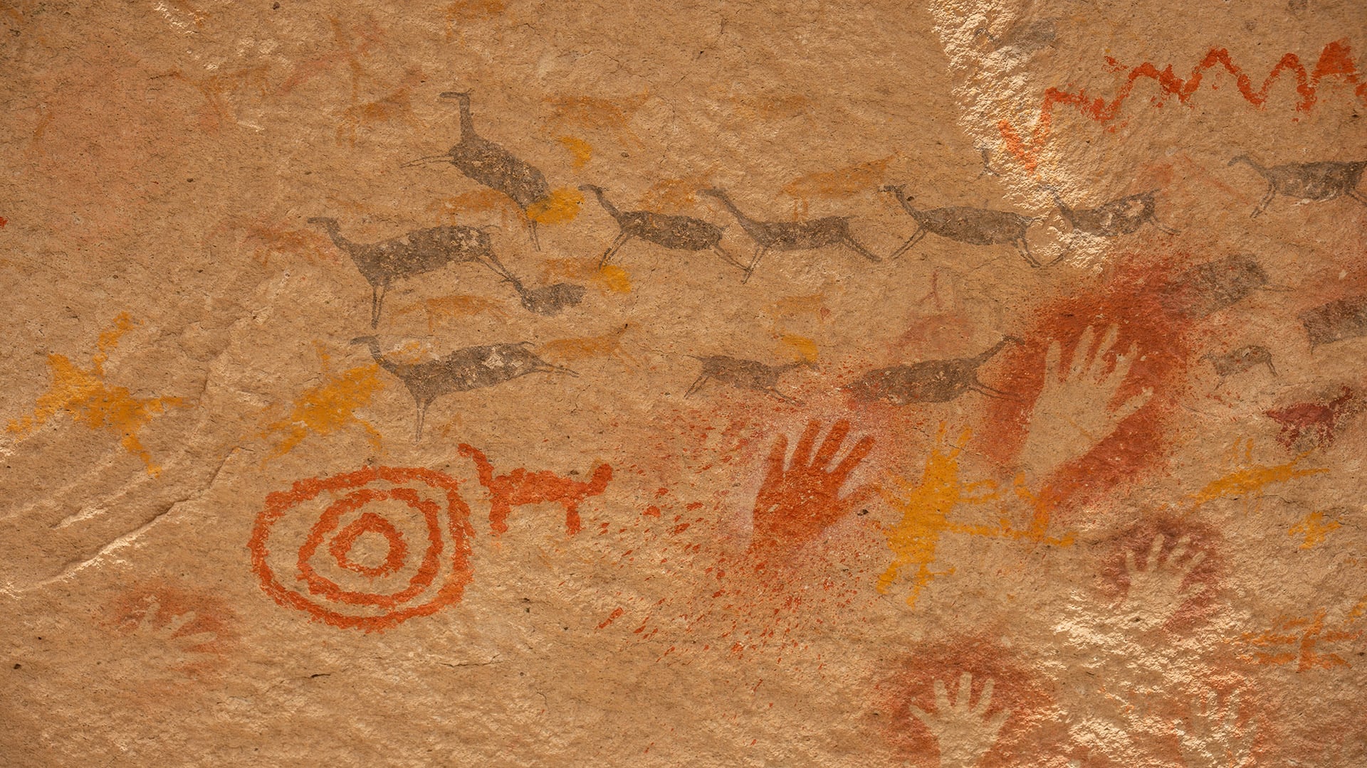 Paredón con manos de distintos tamaños (algunas con seis dedos), escenas de caza y arreo de guanacos, guanacas preñadas y motivos geométricos (Horacio Barbieri. Rewilding Argentina)