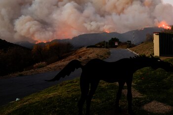 Las ráfagas de viento podrían