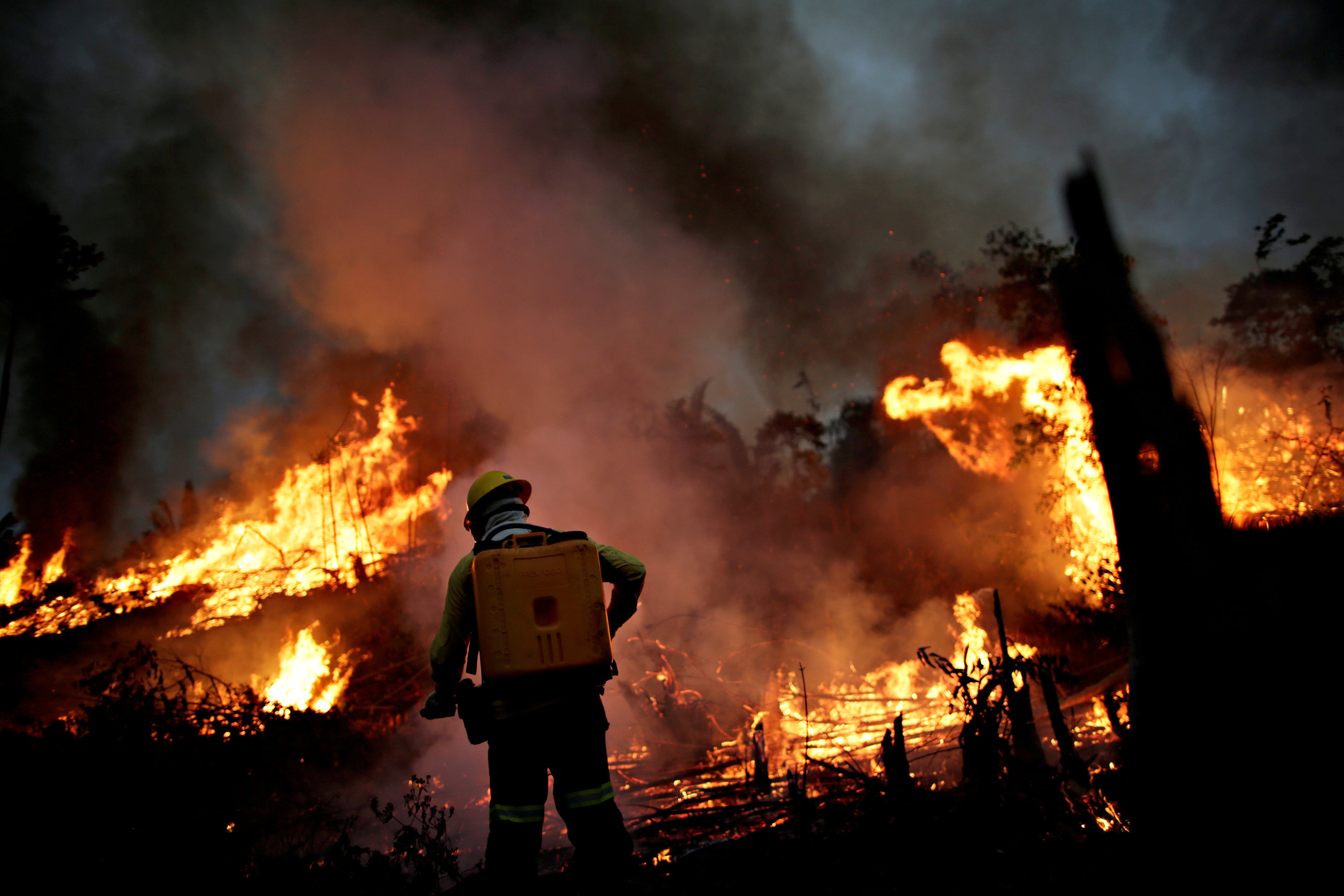 La intensificación de los incendios forestales en Sudamérica pone en grave peligro la biodiversidad regional y mundial./Archivo REUTERS/Ueslei Marcelino