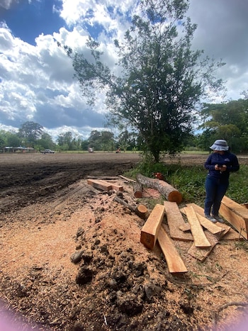 MiAmbiente ha registrado 124 reportes