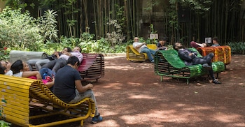 Audiorama de Chapultepec el lugar
