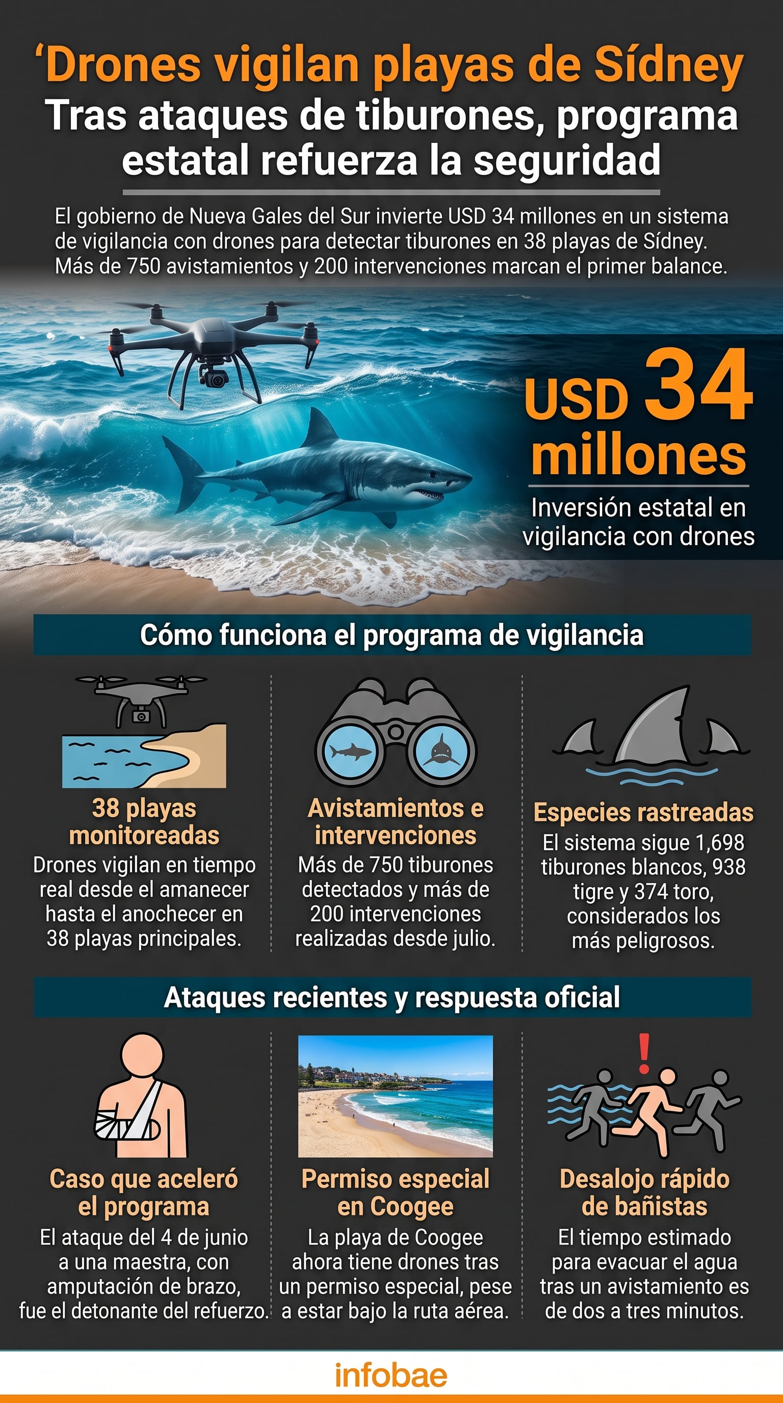 Una infografía de Infobae detalla el programa de vigilancia con drones implementado por Nueva Gales del Sur para detectar tiburones en 38 playas de Sídney (Imagen Ilustrativa Infobae)