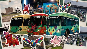 ¡No solo es el ajolote! Brugada adornará transporte de CDMX con animales emblemáticos: estas especies lucirán en la red de electro movilidad