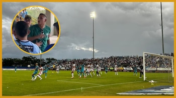 Jaguares
