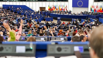 Un grupo de eurodiputados se