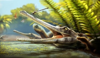 Ilustración de un cocodrilo de hocico largo con la boca abierta en el agua, una libélula sobre su hocico y helechos al fondo