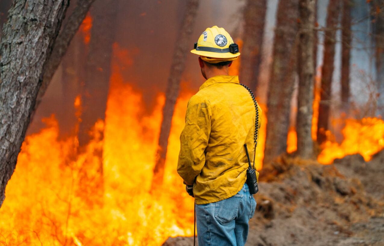 Modelos climáticos avanzados proyectan un aumento de hasta 1,8 veces en la deposición de hierro en el Atlántico Norte - (AP News)