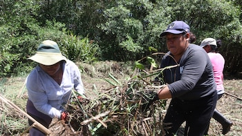 Mujeres de Barra de Santiago lideran la restauración de manglar en El Salvador