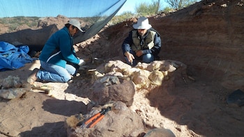 El equipo de investigación estuvo