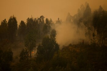 Firefighters attempt to control the