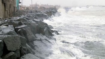 Se exhorta a las empresas