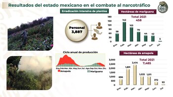 Más de tres mil efectivos