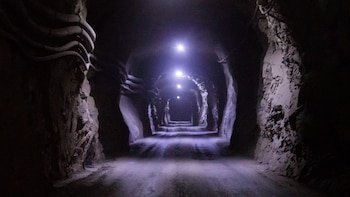 Procedente el despido de un