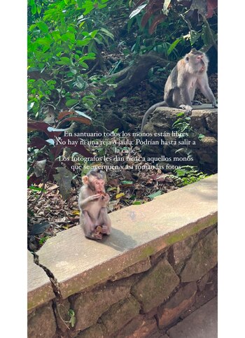 El álbum de fotos de