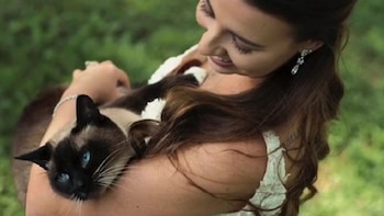 Prince es el adorado gato