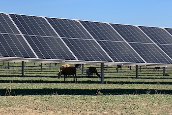 Placas solares colocadas en el