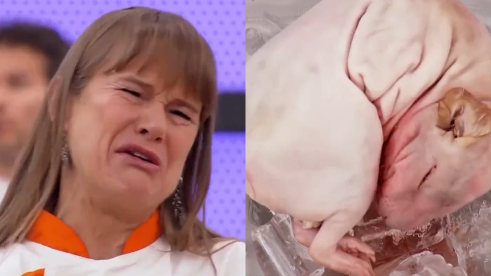 Nailea Norvind llora durante una prueba del programa Top Chef VIP al recibir un cuy entero como ingrediente culinario. (Infobae Perú/Top Chef Vip)