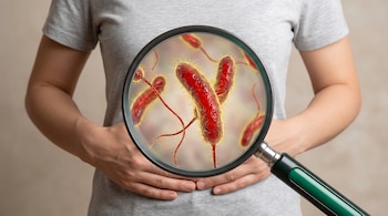 Primer plano del torso de una persona con camiseta gris claro, sosteniendo su abdomen. Una lupa grande en el centro amplía la bacteria Vibrio, de forma curva y roja con filamentos amarillos.