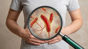 Científicos descifran cómo las bacterias del cólera se ocultan del sistema inmunitario