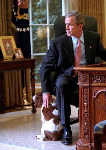 Perros presidentes