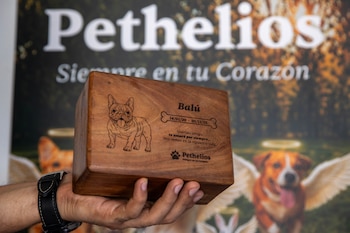 El incinerador para mascotas de Pethelios opera a 1.200 grados celsius y cumple con estrictas regulaciones ambientales y sanitarias. (EFE/ STR)