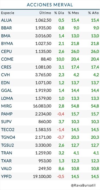 Acciones del Merval (Rava)