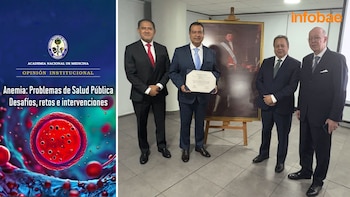 El libro 'Anemia: Problema de