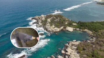 Video: un pez fue grabado