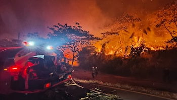 El Ministerio de Salud de Colombia activó una respuesta sanitaria por los incendios forestales y la mala calidad del aire ante el aumento del humo en varias regiones del país - crédito @Rodrigo_Lara_/X