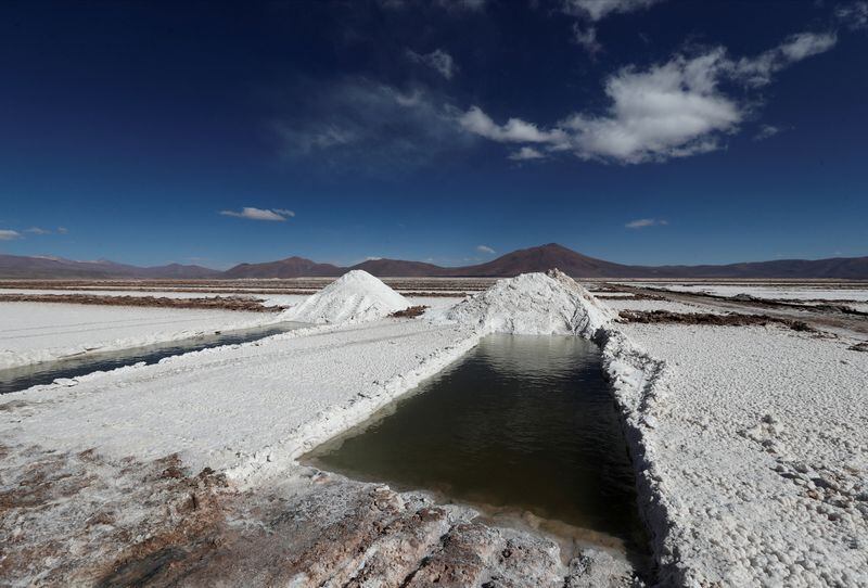 El salar de Rincón es uno de los más grandes de la región y se encuentra en la puna de Salta. REUTERS/Agustin Marcarian/File Photo