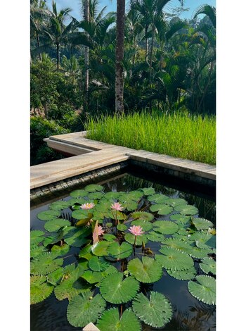 El álbum de fotos de