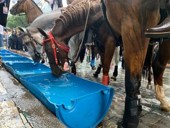 Pese a la logística para