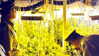 Ambos antisociales serán formalizados este