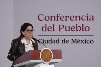La coordinadora nacional de Protección Civil, Laura Velázquez Alzúa, informó que el ejercicio comenzará a las 12:00, hora del centro de México, y tendrá una hipótesis de sismo para las 32 entidades federativas.