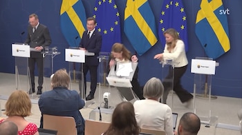 La nueva ministra de Sanidad de Suecia, Elisabet Lann (KD), se desploma en medio de una rueda de prensa. (Televisión pública sueca)