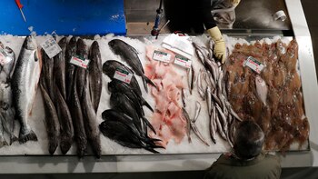 ¿Comemos el plástico que comen