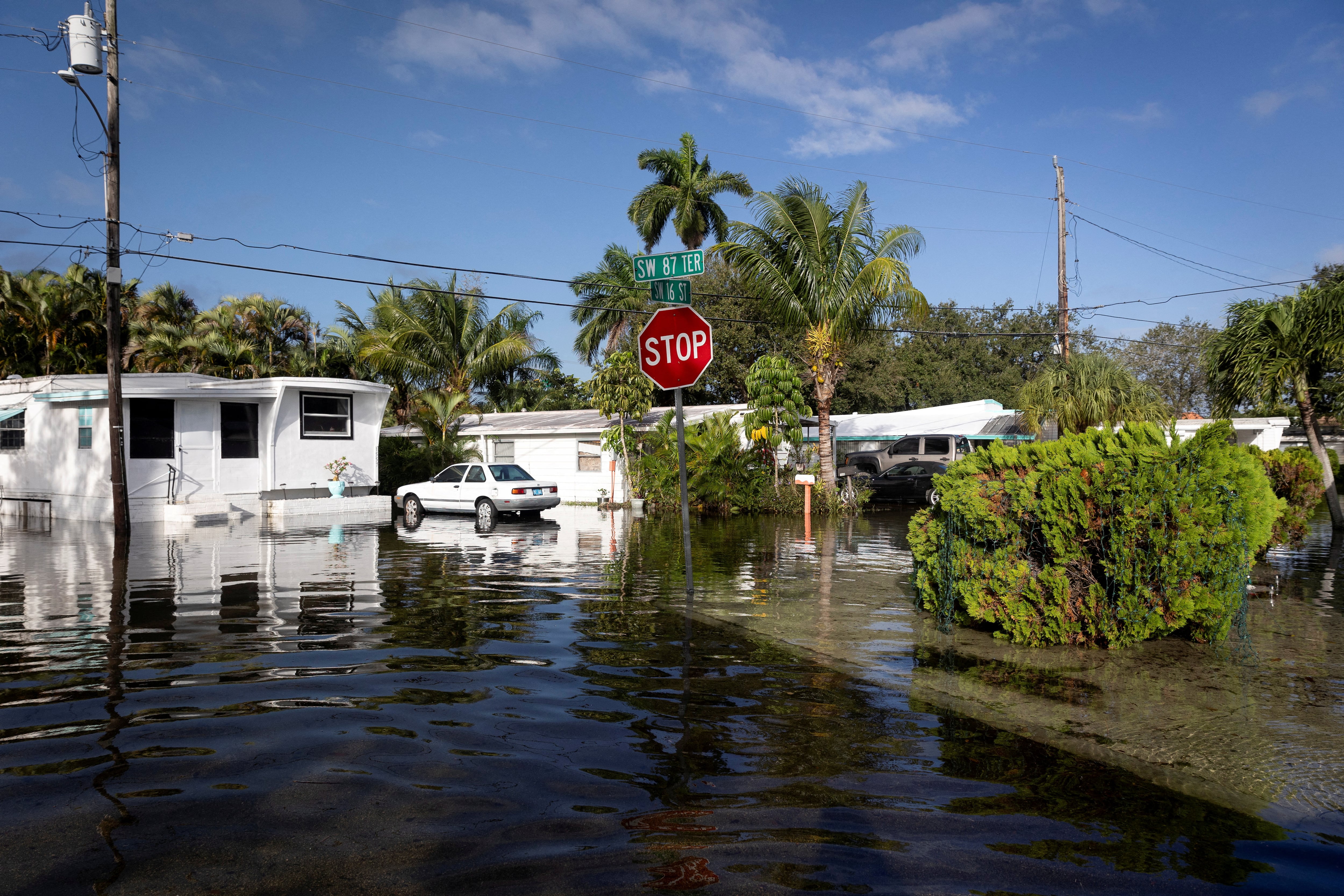 Las precipitaciones intensas favorecen la aparición de especies peligrosas en zonas residenciales (REUTERS/Marco Bello/File Photo)