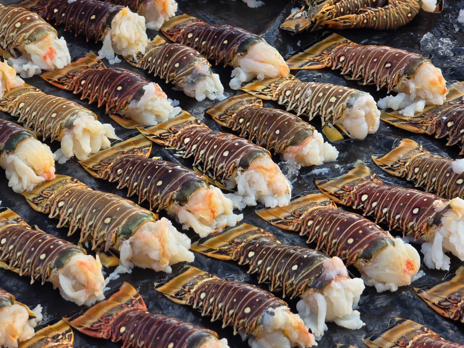 Pesca ilegal, Armada de Colombia, Coralina, Migración Colombia, San Andrés, Providencia, Conservación marina, Banco Quitasueño, Langosta, Reserva de Biósfera Seaflower