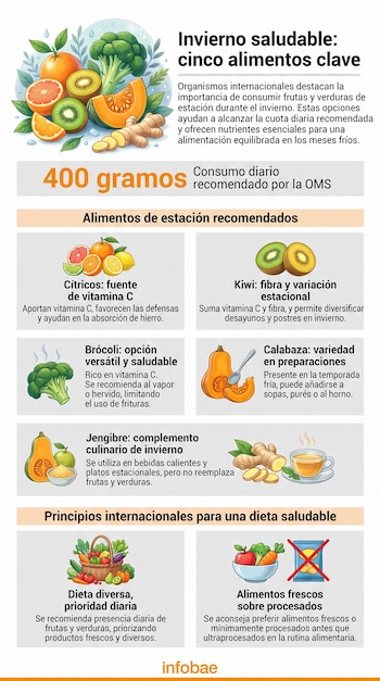 Infografía con ilustraciones de naranjas, pomelo, limones, kiwis, brócoli, calabazas, jengibre y texto sobre recomendaciones de la OMS.