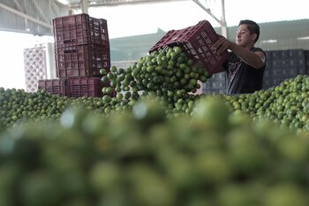 Las extorsiones a los productores